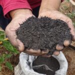 Bandung Carbon Farming