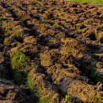 Bandung Carbon Farming